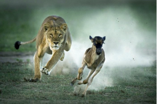 ���� ����.png